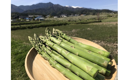 昨年も好評をいただきました！やわらかく甘みがあるので塩ゆでだけでおいしい◎