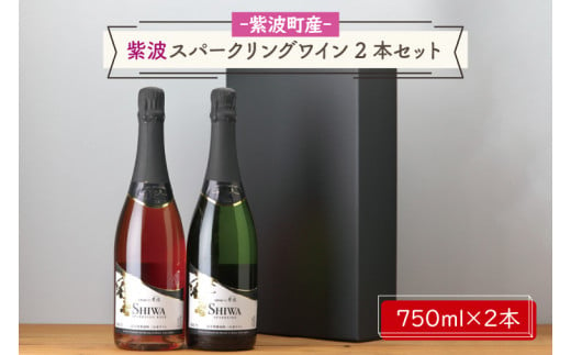 AL065-1　紫波スパークリングワイン２本セット（白・ロゼ）