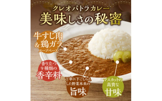 クレオパトラカレー5箱入