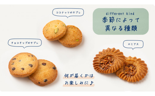 ＜大人も子供も楽しめる焼菓子セット＞ 粉枝（こえだ）のサブレ 8種詰合せ (各1袋入り) 焼菓子 焼き菓子 サブレ クッキー 詰合せ アソート スイーツ 洋菓子 小袋 手作り おすそ分け ギフト 手土産 贈り物