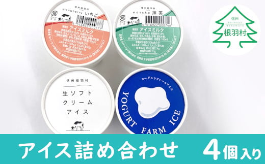 南信州根羽村産 アイス詰め合わせ お試し4個セット (4種類×1個) 4000円