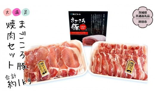 まごころ豚 焼肉セット バラ 500g ロース500g 合計1kg (茨城県共通返礼品／鉾田市) ブランド豚 バラ ロース 焼肉 BBQ 仲田精肉店 [DB002sa]