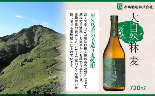 年内発送　屋久島 大自然林 麦 720ml 1本（屋久島産の手造り麦焼酎）＜本坊酒造 屋久島伝承蔵＞