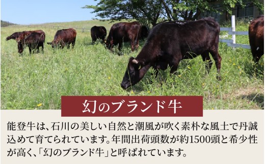 能登牛 特選 すき焼き用（肩またはモモ） 300g