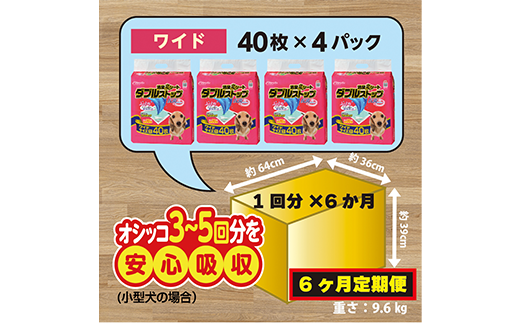 304【6ヶ月連続お届け】定期便 6回 消臭シート ダブルストップ ワイド 40枚×4袋 クリーンワン ペットシーツ 犬用 消臭 抗菌 炭シート ペットシート