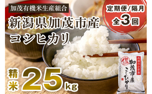 【令和6年産新米先行予約】【定期便3回隔月お届け】新潟県加茂市産コシヒカリ 精米25kg（5kg×5）白米 加茂有機米生産組合 定期便