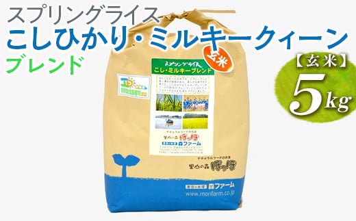 【新米】スプリングライス こしひかり・ミルキークィーン ブレンド (玄米)5kg ※着日指定不可 | 米 こめ コメ 5キロ 玄米 ブレンド米 こしひかり コシヒカリ ミルキークイーン みるきーくいーん もちもち 古河市産 茨城県産 取り寄せ お取り寄せ ギフト 贈答 贈り物 プレゼント お中元 お歳暮 茨城県 古河市 直送 農家直送 産地直送 送料無料 _BI69