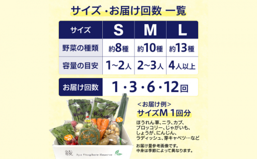 綾町旬野菜ギフト（Mサイズ）【全６回定期便】