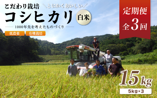 【定期便3回】有機栽培コシヒカリ白米 15kg 京都府産 低農薬 毎月お届け 3ヶ月【 米 15キロ 精米 白米 こめ コメ お米 おこめ こしひかり 井上吉夫 米農家 有機栽培米 有機栽培 農家直送 減農薬 綾部市 京都府 】