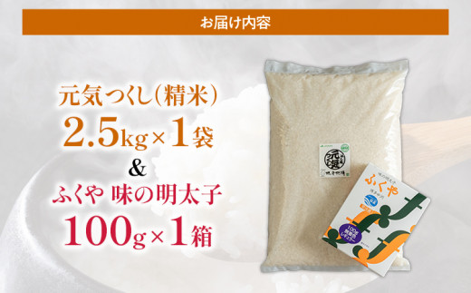 元気つくし 2.5kg&ふくや味の明太子 100g