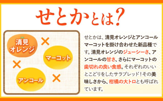 ＜先行予約＞一度は食べていただきたい! 有田産の せとか 青秀以上 約4～5kg （サイズおまかせ） 厳選館 《2025年2月下旬-3月下旬頃出荷》 和歌山県 日高川町 せとか 柑橘 有田産