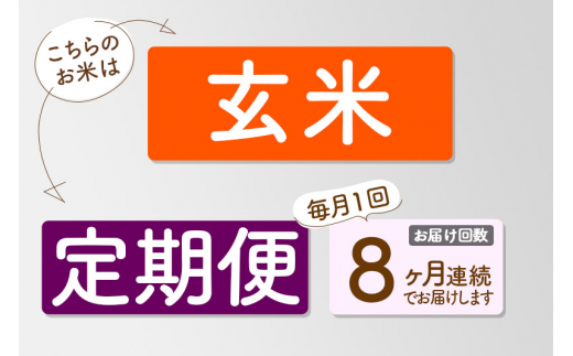 《定期便8ヶ月》【玄米】つや姫 10kg×8回（特別栽培米）令和5年産 山形県産 しらたかのお米