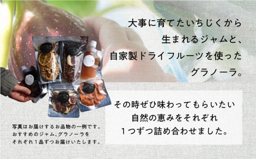 【年内発送】《先行予約》【令和6年産】おすすめ いちじく の ジャム ・ グラノーラ | 無花果 イチジク 高級品 くだもの 果物 フルーツ ドライフルーツ 朝食 トースト tete. [mt495] 4000円 4千円 2024年 年末 年内配送 年内お届け