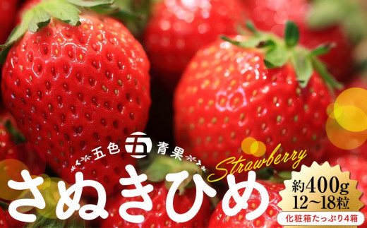 さぬきひめいちご化粧箱たっぷり約400g(12～18粒) 4箱【2025-2月上旬～2025-4月中旬】