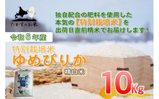 A220 　【 令和6年産 】 ゆめぴりか （ 精 白米 ） 特Aランク 北海道 米 を代表する人気の品種 10㎏ 北海道 鷹栖町 たかすのお米 米 コメ こめ ご飯 白米 お米 ゆめぴりか コメ 白米