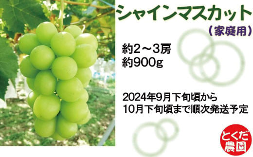 [No.5657-3617]家庭用 シャインマスカット 約900g (約2～3房)《とくだ農園》■2024年発送■※9月下旬頃～10月下旬頃まで順次発送予定