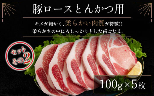 宮崎県産豚 とんかつ用 3種 食べ比べ セット 合計1.5kg 国産 肉 豚肉 ご飯 お弁当【A299-24-30】