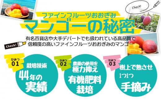 【年内・数量限定企画】【2025年発送】農園一番人気の完熟アップルマンゴー秀品・1kg以上農園から直送！ 秀品 先行予約 沖縄 甘味 糖度 濃厚 美味しい お土産 おいしい ギフト とろける甘さ 香り アーウィン 果汁 高級 箱入り 化粧箱入り 見た目 きれい 綺麗