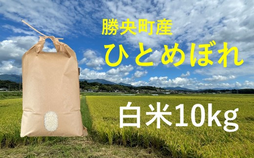 「ひとめぼれ白米10kg」