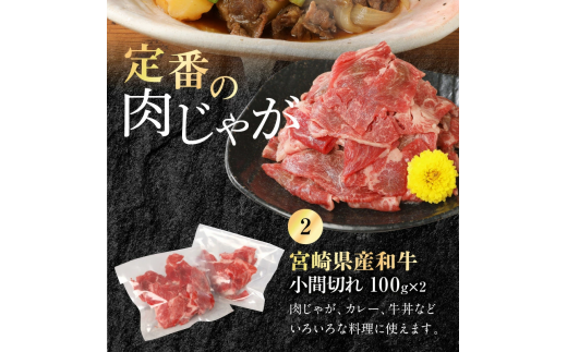 宮崎牛ﾛｰｽｽﾃｰｷ250g×2宮崎県産和牛小間切れ100g×2計700g N0147-YB813