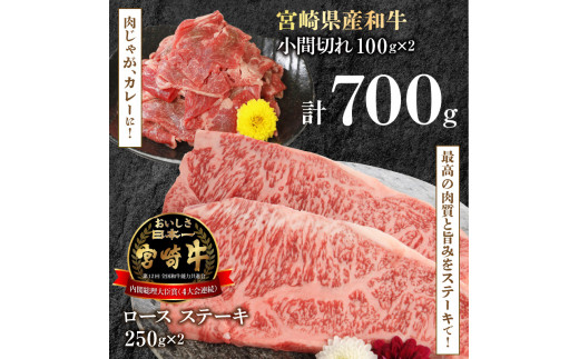 宮崎牛ﾛｰｽｽﾃｰｷ250g×2宮崎県産和牛小間切れ100g×2計700g N0147-YB813