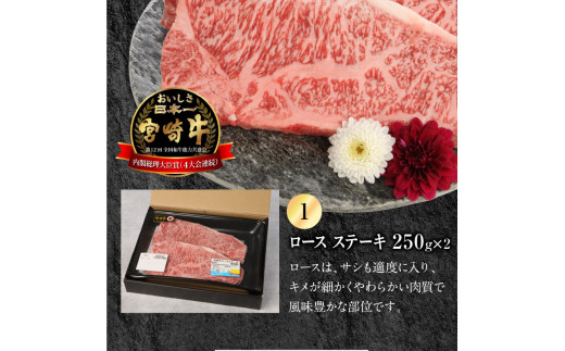 宮崎牛ﾛｰｽｽﾃｰｷ250g×2宮崎県産和牛小間切れ100g×2計700g N0147-YB813