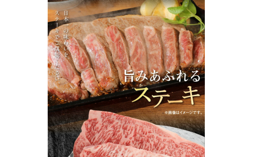 宮崎牛ﾛｰｽｽﾃｰｷ250g×2宮崎県産和牛小間切れ100g×2計700g N0147-YB813