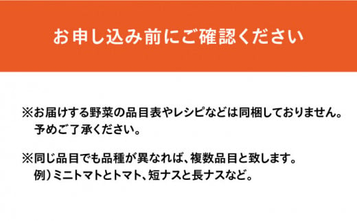 豪華！野菜セット 16品目以上 野菜どっさりサイズ / 野菜 フルーツ きのこ 詰め合わせ  長崎県/吉岡青果 [42ACAF001]  果物 キノコ 新鮮 セット 詰め合わせ 詰合せ 定期便 産地 直送 国産 季節の野菜 やさい 旬 果物 盛り合わせ ダイエット 野菜セット 野菜詰め合わせ