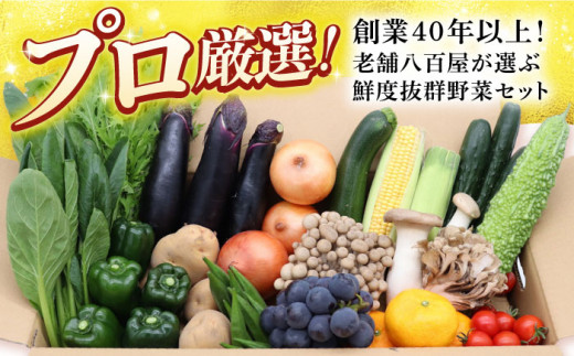 豪華！野菜セット 16品目以上 野菜どっさりサイズ / 野菜 フルーツ きのこ 詰め合わせ  長崎県/吉岡青果 [42ACAF001]  果物 キノコ 新鮮 セット 詰め合わせ 詰合せ 定期便 産地 直送 国産 季節の野菜 やさい 旬 果物 盛り合わせ ダイエット 野菜セット 野菜詰め合わせ