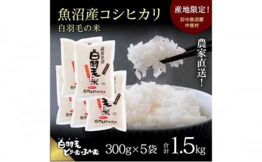 【通年受付】≪令和6年産≫　農家直送！魚沼産コシヒカリ「白羽毛の米」精米 (300g×5袋) 1.5kg