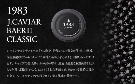 【12ヶ月定期便】「ジャパン キャビア」MIYAZAKI CAVIAR 1983 BAERII CLASSIC 200g（100g ×2）×12ヶ月＜389-1＞