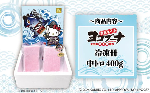 豊後まぐろ ヨコヅーナ刺身用・中トロ 400g 鮪 マグロ 海鮮丼 刺し身 盛り合わせ 冷凍 魚の刺身 大分県産 九州産 津久見市 