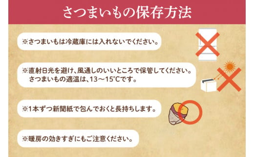 【訳あり】紅はるか約10kg【さつまいも サツマイモ 紅はるか 茨城県 鹿嶋市 10000円以下】（KAM-20）