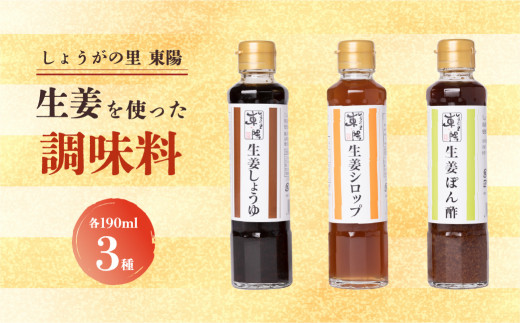 しょうがの里東陽 生姜を使った調味料 3本セット