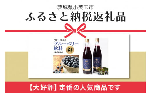 果汁50％ブルーベリー飲料2本セット ブルーベリー ブルーベリー飲料 フルーツ 果物 フルーツジュース ジュース ビタミンE アントシアニン 栄養 目にいい 健康 美容  瞳の健康 ギフト 贈り物 茨城県産 人気 プレゼント セット ドリンク 9-L