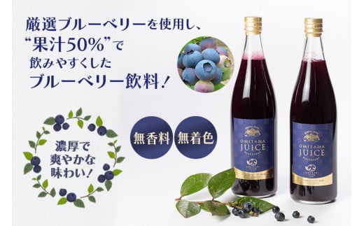 果汁50％ブルーベリー飲料2本セット ブルーベリー ブルーベリー飲料 フルーツ 果物 フルーツジュース ジュース ビタミンE アントシアニン 栄養 目にいい 健康 美容  瞳の健康 ギフト 贈り物 茨城県産 人気 プレゼント セット ドリンク 9-L