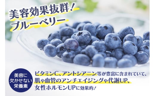 果汁50％ブルーベリー飲料2本セット ブルーベリー ブルーベリー飲料 フルーツ 果物 フルーツジュース ジュース ビタミンE アントシアニン 栄養 目にいい 健康 美容  瞳の健康 ギフト 贈り物 茨城県産 人気 プレゼント セット ドリンク 9-L