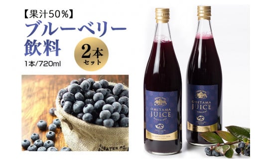 果汁50％ブルーベリー飲料2本セット ブルーベリー ブルーベリー飲料 フルーツ 果物 フルーツジュース ジュース ビタミンE アントシアニン 栄養 目にいい 健康 美容  瞳の健康 ギフト 贈り物 茨城県産 人気 プレゼント セット ドリンク 9-L