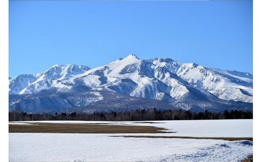 上川大雪酒造のあまざけ  12缶セット（化粧箱入）