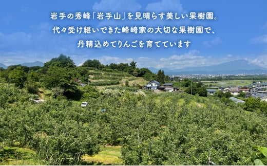 【2024年先行予約 12月10日〜年内発送】 樹上完熟「はるか」盛岡りんご 極上品 約5kg 16玉 生産者直送