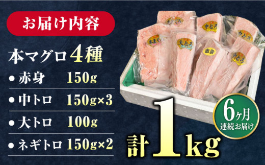 【全6回定期便】対馬産 本マグロ 4種 計1kg（赤身/中トロ/大トロ/ネギトロ）《対馬市》【対海】[WAH007] マグロ まぐろ 鮪 本鮪 本マグロ 養殖 トロ 中トロ 中とろ 大トロ 大とろ 赤身 ねぎとろ ネギトロ たたき 刺身 冷凍 海鮮 魚 柵 お祝い 贈答 定期便 毎月届く