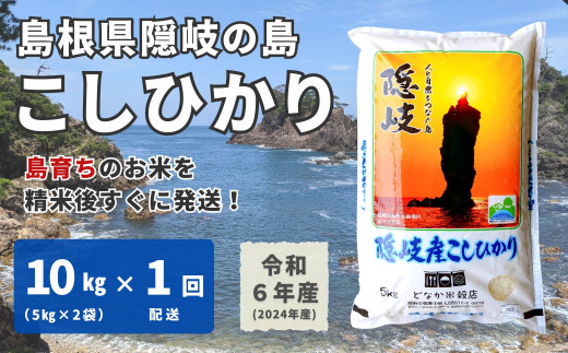 1701　【令和6年産】隠岐産こしひかり10Kg（5Kｇ×2袋）