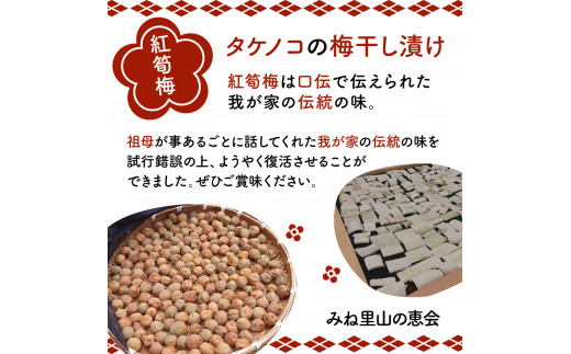 紅筍梅 タケノコの梅干し漬け 紅白梅干しセット ｜ ウメ 梅 梅干し 無添加 詰め合わせ 山口 美祢 特産品 しそ 赤しそ 練梅 白梅 赤梅 たけのこ タケノコ 昔ながら