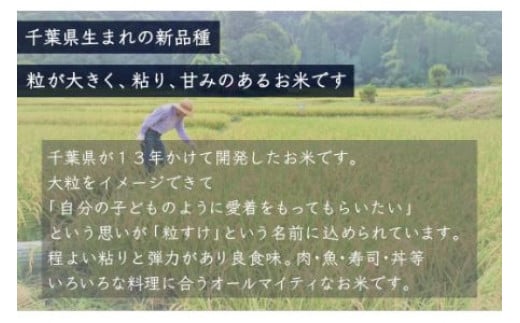 【新米】令和6年産 千葉県産「粒すけ」10kg無洗米（5kg×2袋）  お米 無洗米 10kg 千葉県産 大網白里市 粒すけ 米  こめ 送料無料 A044