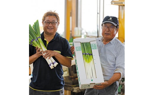 【8月～翌2月限定出荷】白神山地の麓で育った 白神ねぎ 産地直送 鍋物に最適！