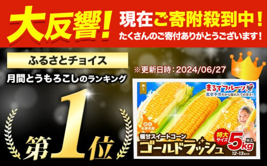 【特大】とうもろこし 極甘 スイートコーン 「 ゴールドラッシュ 」 5kg 以上 11～13本 特大 サイズ　来年分先行予約 受付中 【2025年8月上旬-9月中旬頃出荷】  特大 北海道 北海道 朝採れ 真空予冷 冷蔵 高糖度 夏野菜 