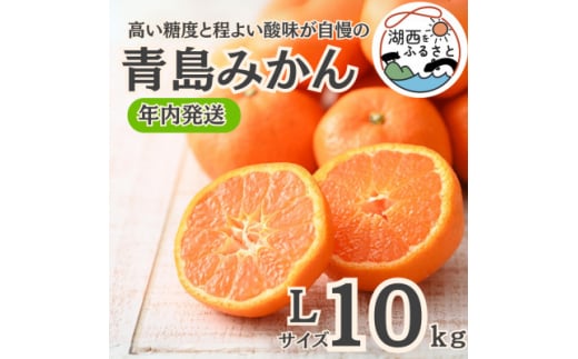 ＜年内発送＞＜12月より順次出荷予定＞青島みかん約10kg Lサイズ〔鈴木農園〕【1510114】