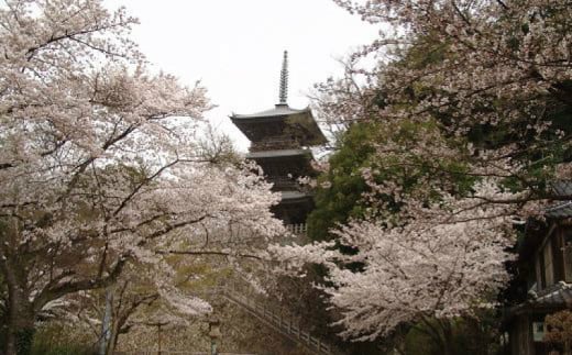 安来清水寺