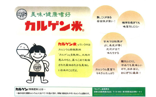 熊本県産 カルゲン農法米 コシヒカリ米 10kg 精米 米