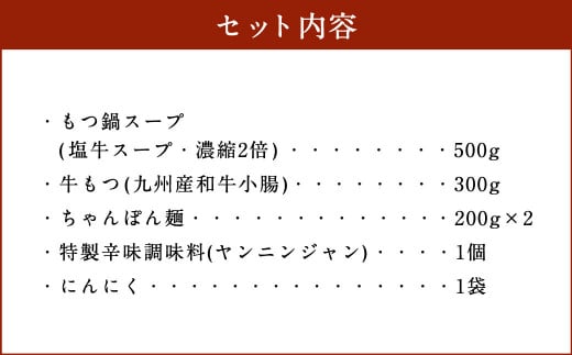 大昌園 ｢特選｣ もつ鍋 セット 塩牛スープ 2～3人前 特製辛味調味料付き 九州産